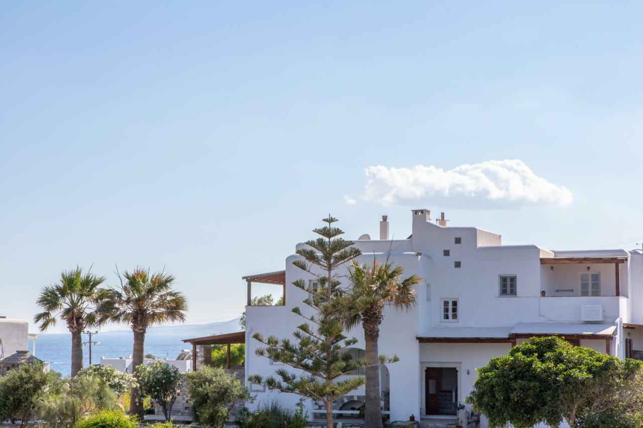 Thea Suites Naxos Άγιος Προκόπιος Εξωτερικό φωτογραφία